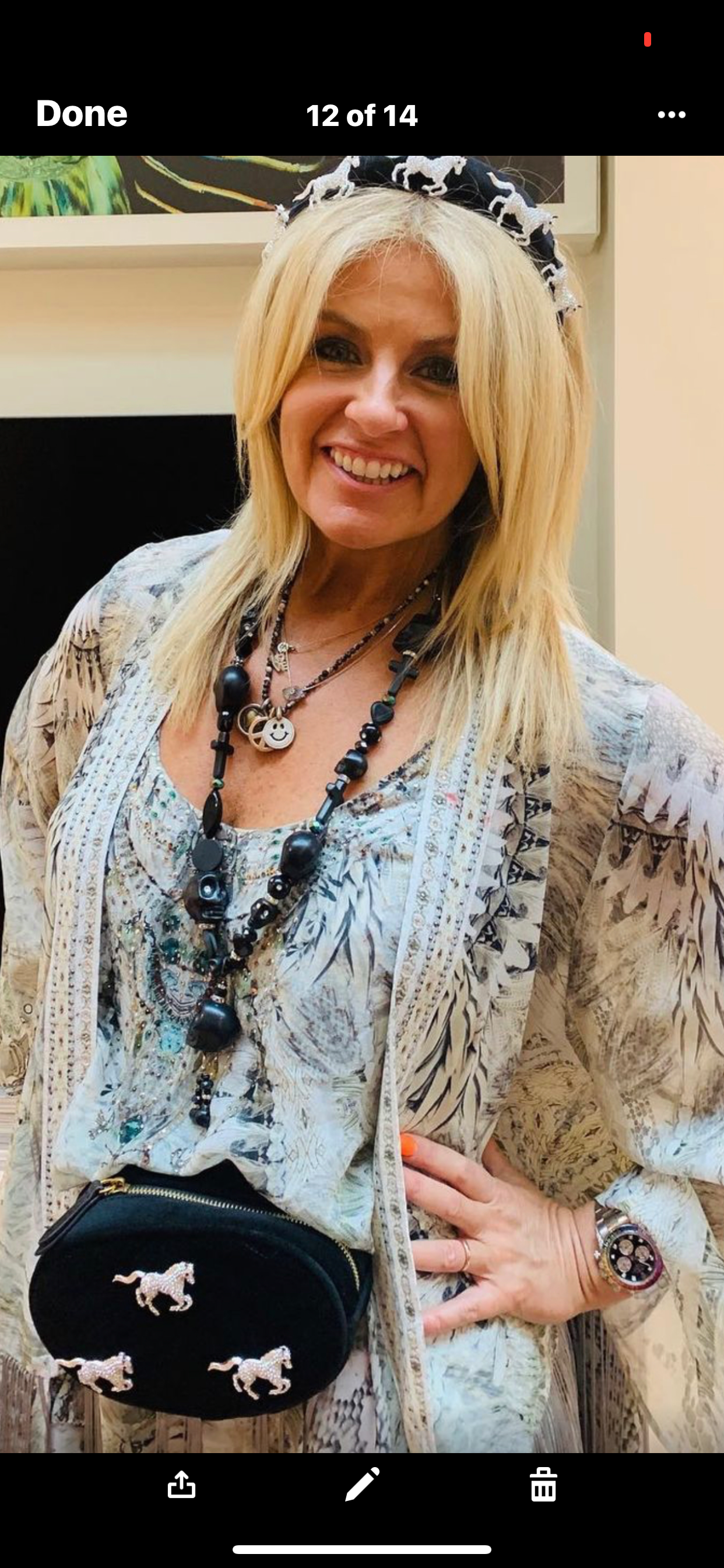 Crystal Horses Belt Bag